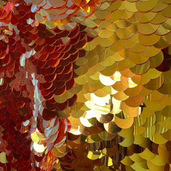 NWT ROSA BLOOM Indus SEQUINS LEGGINGS Pants SIZE XXS - Picture 5 of 5